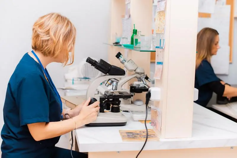 Medic veterinar lucrând la microscop în laboratorul clinicii