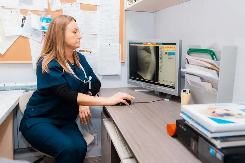 Medic veterinar analizând o radiografie digitală pe monitor